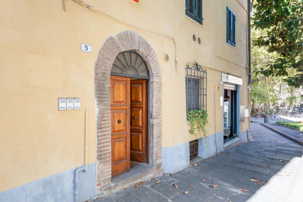 Piazza Napoleone Lovely Central Apartment 卢卡 外观 照片